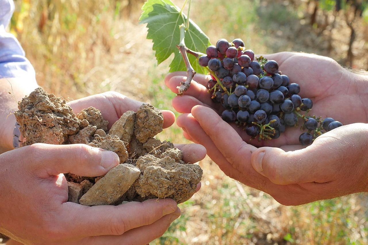 Terravita Winery & Boutique Apartments Суверето Экстерьер фото